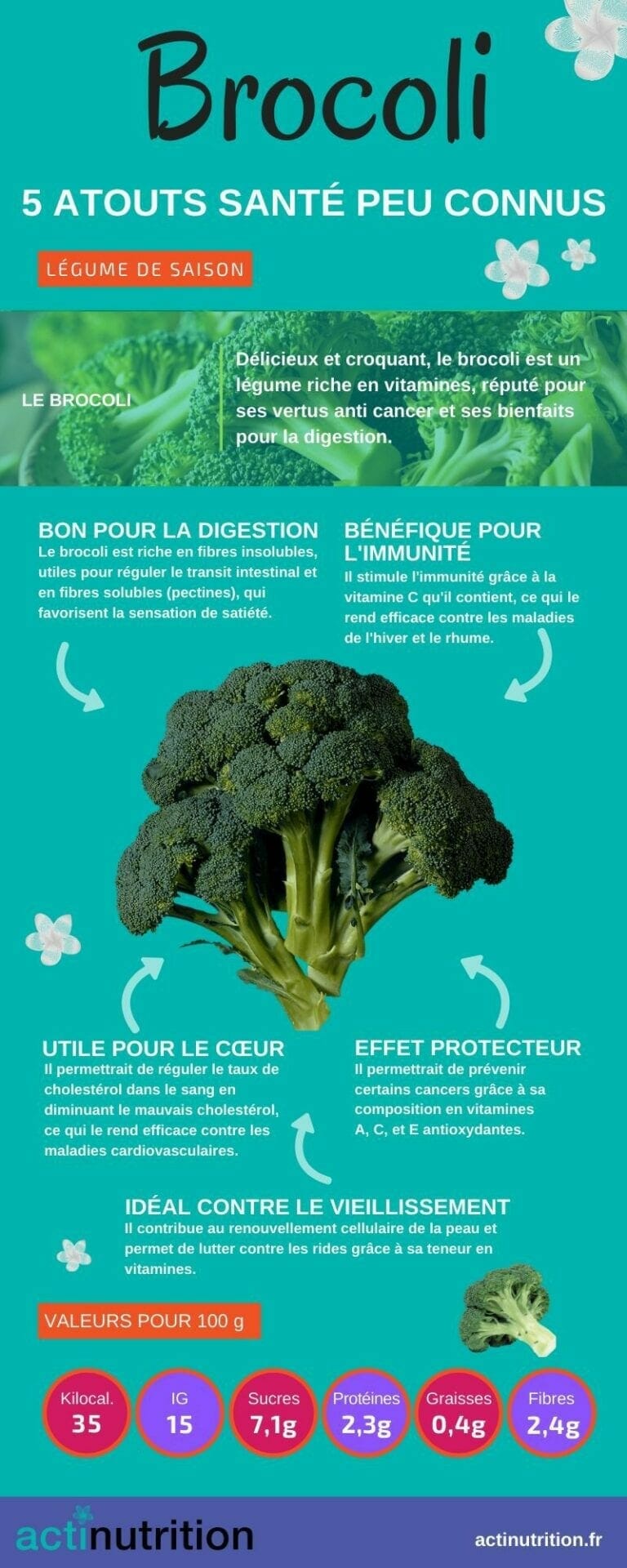 Les Puissants Bienfaits Du Brocoli Pour Le Transit | Aujourdhui.com