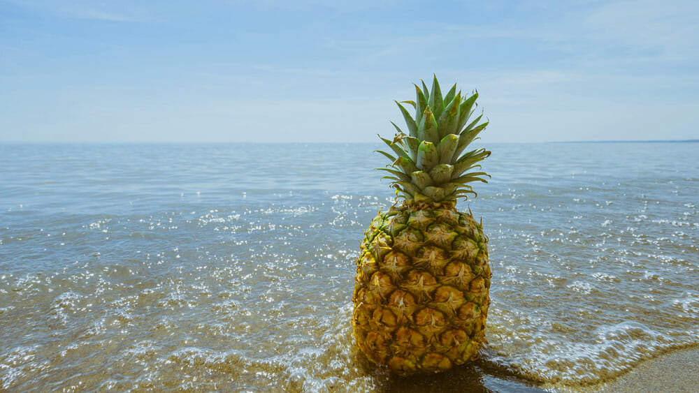 Cuisine. L'ananas, un atout pour votre digestion